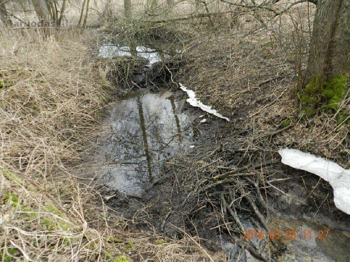 Sklypas prie Merkio, greta Merkines piramidės - nuotraukos Nr. 13