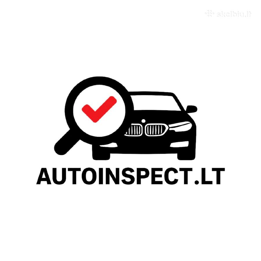Pagalba renkantis automobilį: išsami apžiūra prieš