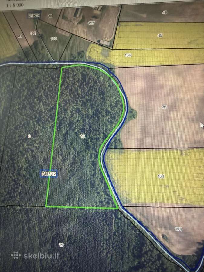 Parduodamas vientisas 10,4 ha miško sklypas