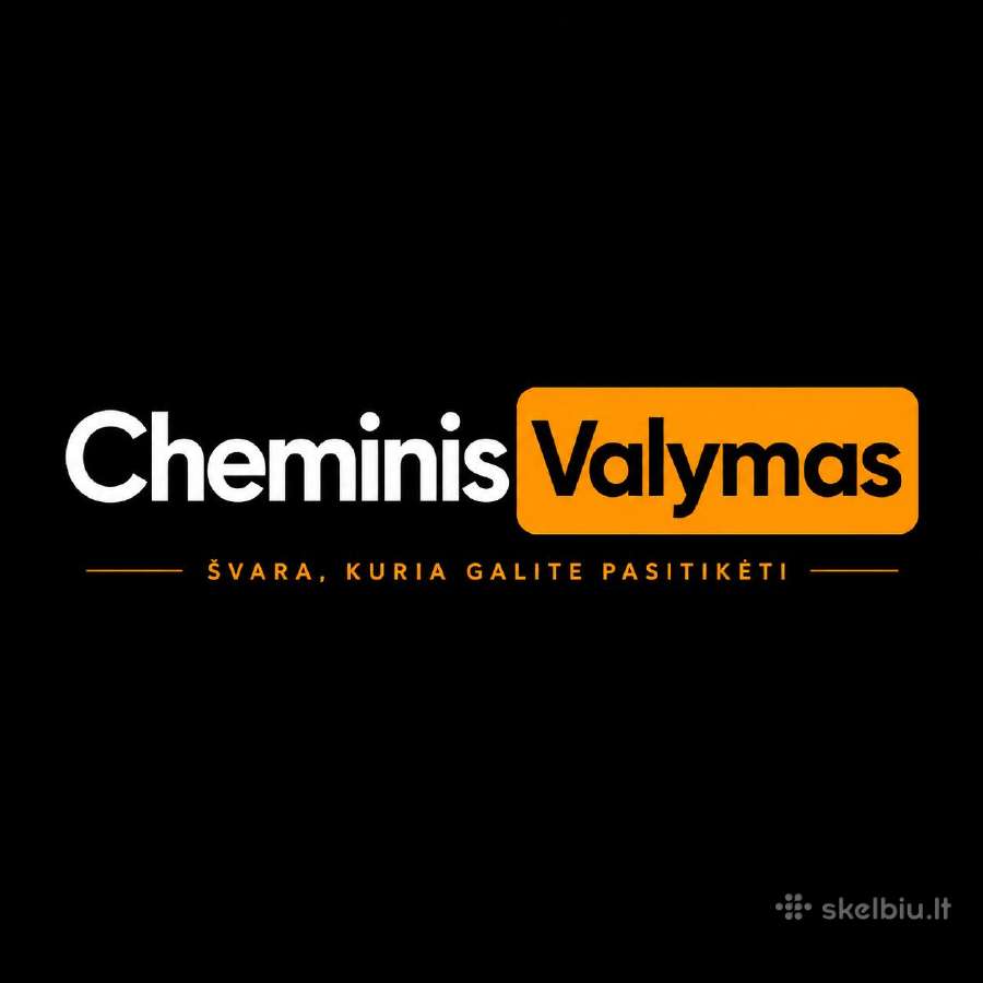Salono cheminis valymas
