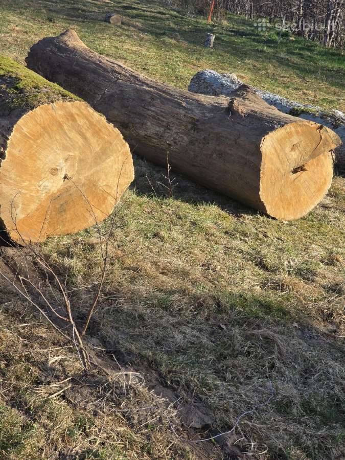 Parduodu ąžuolo sausuolį