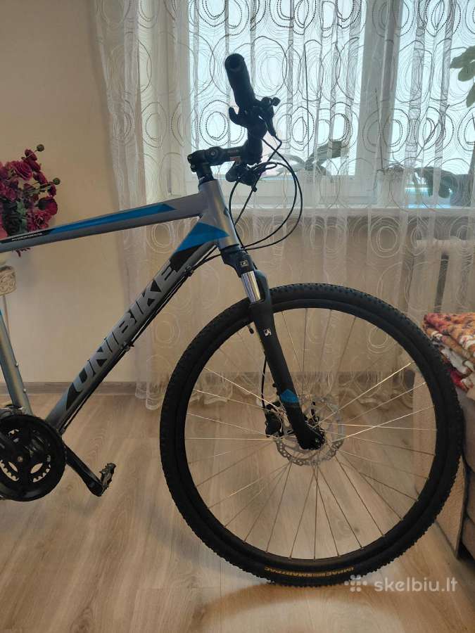 Hibridinis dviratis Unibike flash - nuotraukos Nr. 4
