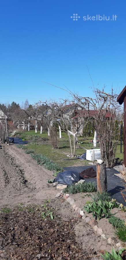 Parduodamas sodo sklypas Putino sodų bendrijoje - nuotraukos Nr. 3