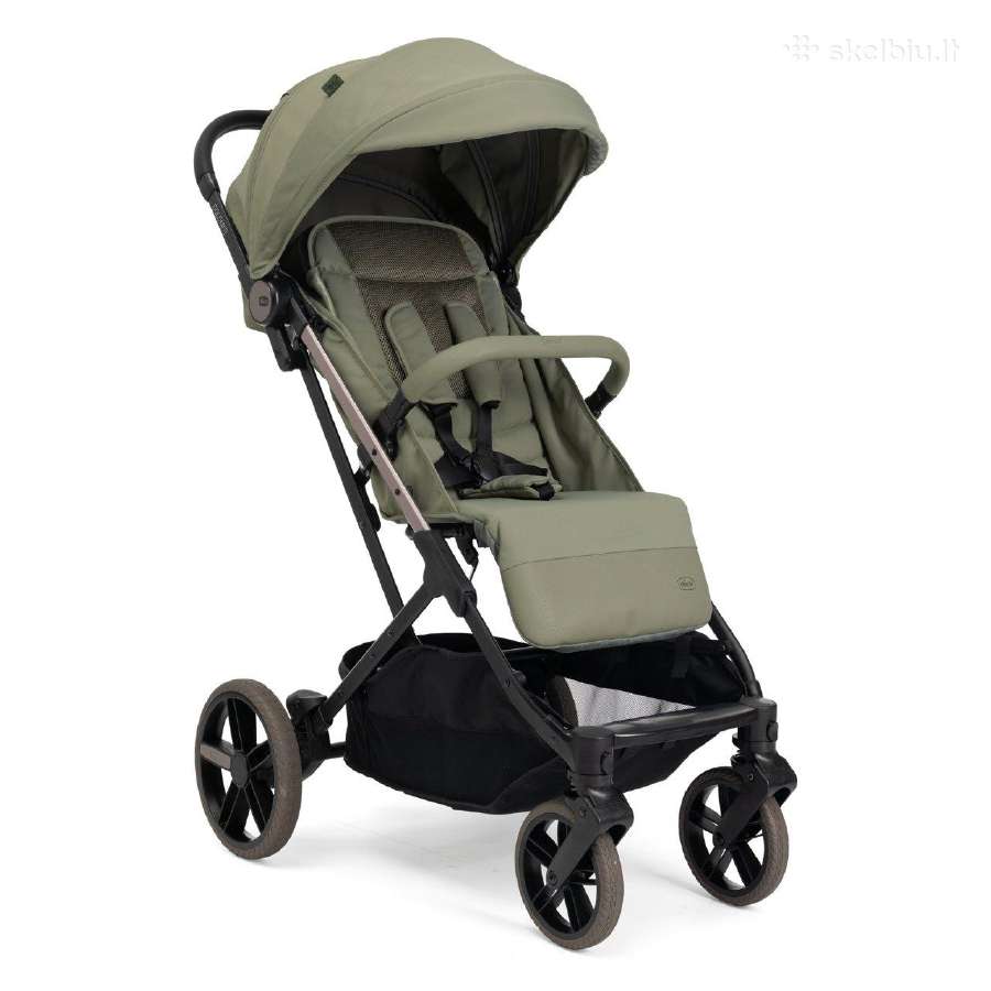 Vežimėlis sportinis Chicco Dolomiti Meadow