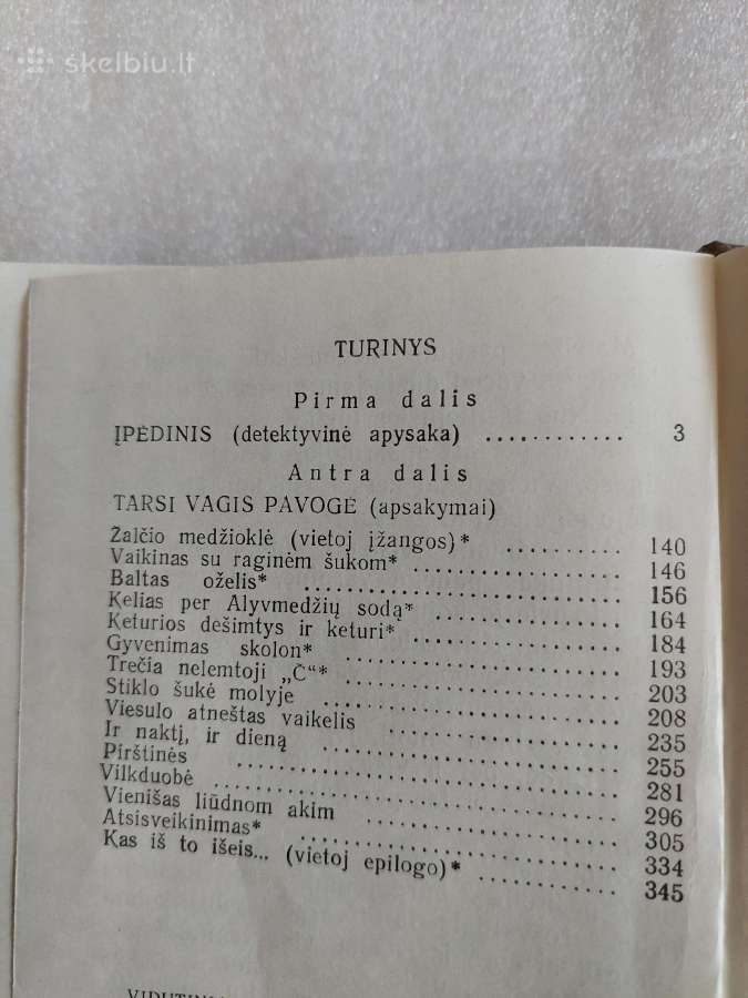Tarsi vagis pavogė - nuotraukos Nr. 4