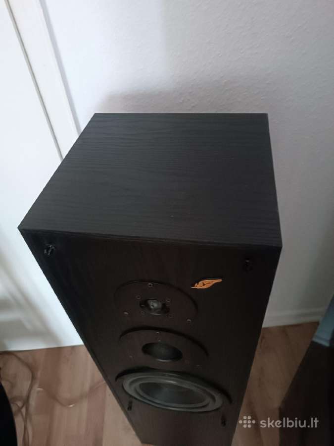 Dynaudio Scriptum 4S - nuotraukos Nr. 3