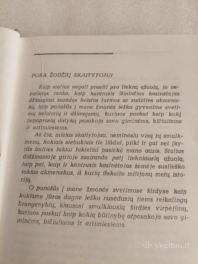 Ministerijos Rožė - nuotraukos Nr. 3