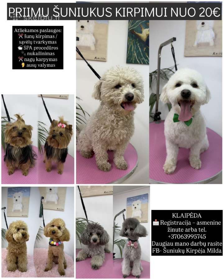 Kirpimas nuo 20€ Klaipeda