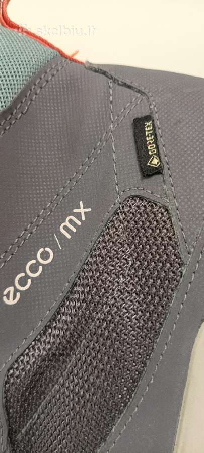 Ecco - nuotraukos Nr. 9