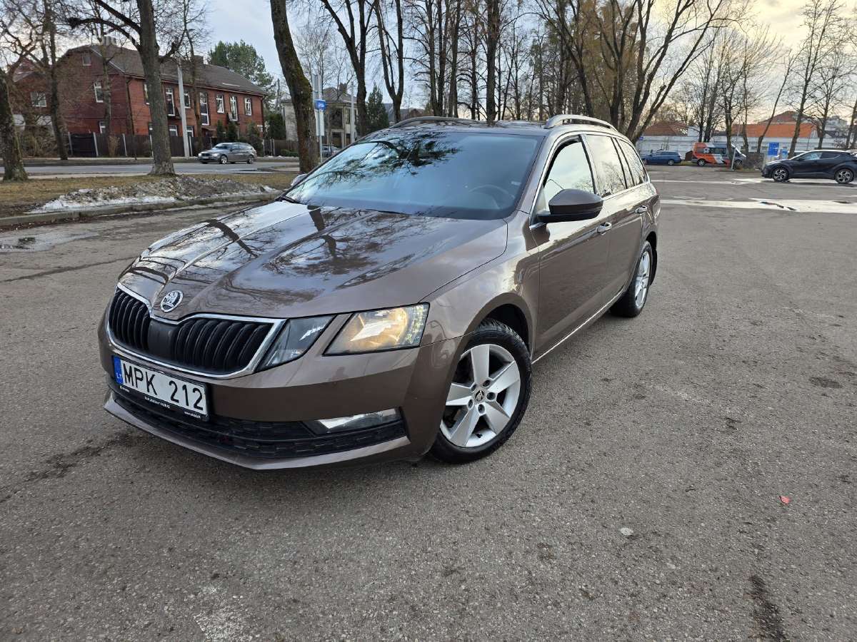 Skoda Octavia 2018, tvarkinga