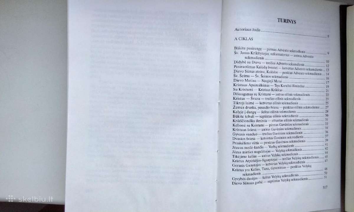 Jaunimas patirtis ir įžvalgos. Kristaus mokslo švi - nuotraukos Nr. 24