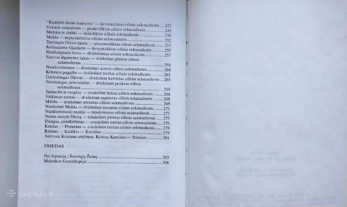 Jaunimas patirtis ir įžvalgos. Kristaus mokslo švi - nuotraukos Nr. 27