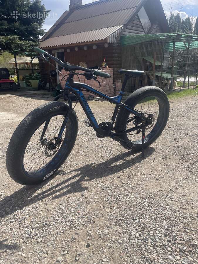Fat bike