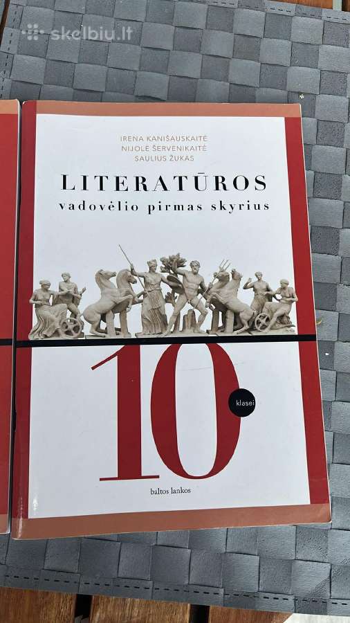 10 klasės literatūros vadovėlis
