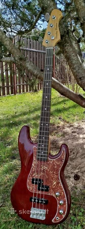 Bosine gitara