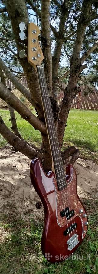 Bosine gitara - nuotraukos Nr. 2