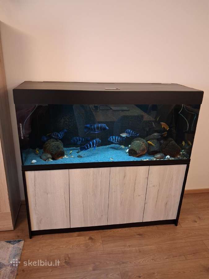 Akvariumas 450 litrų