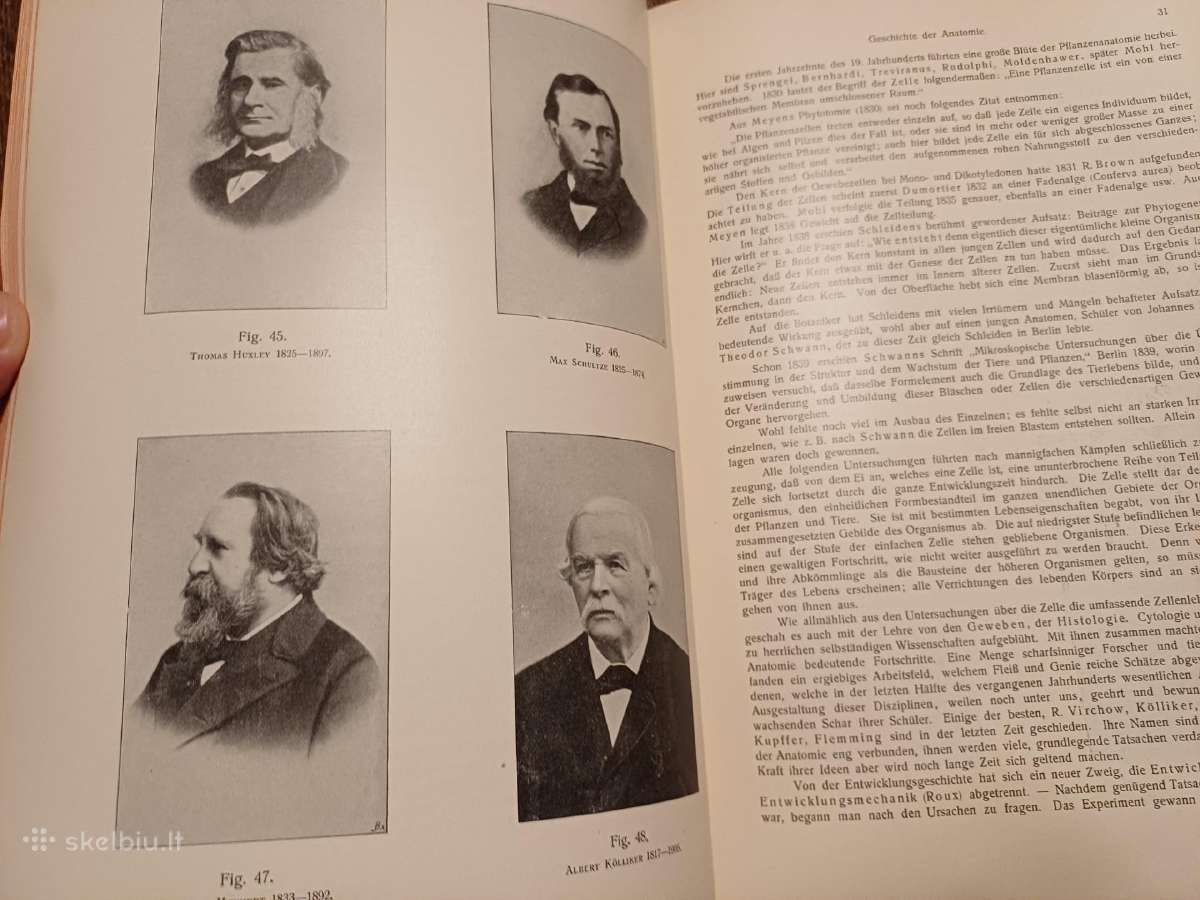 Parduodu knyga,žmogaus anatomijos vadovėlis,1911 - nuotraukos Nr. 7