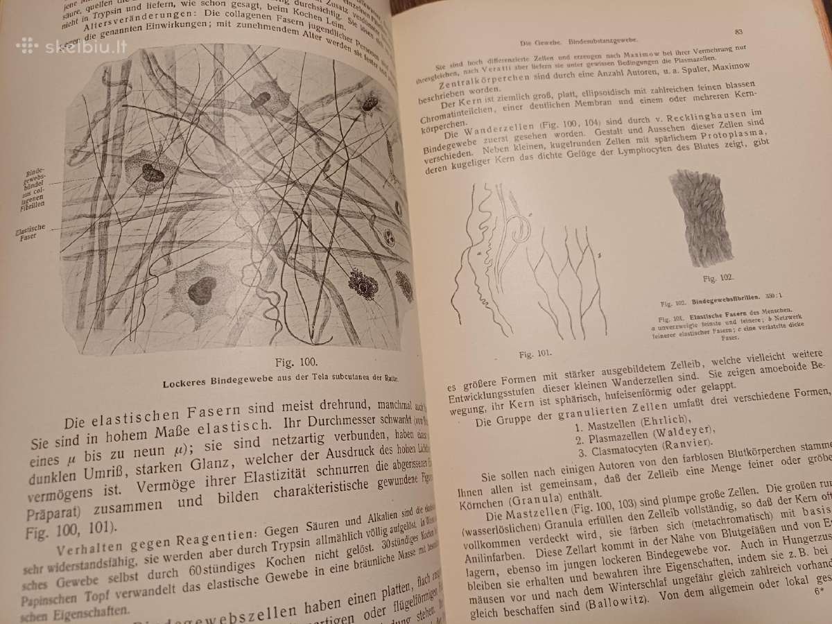 Parduodu knyga,žmogaus anatomijos vadovėlis,1911 - nuotraukos Nr. 5