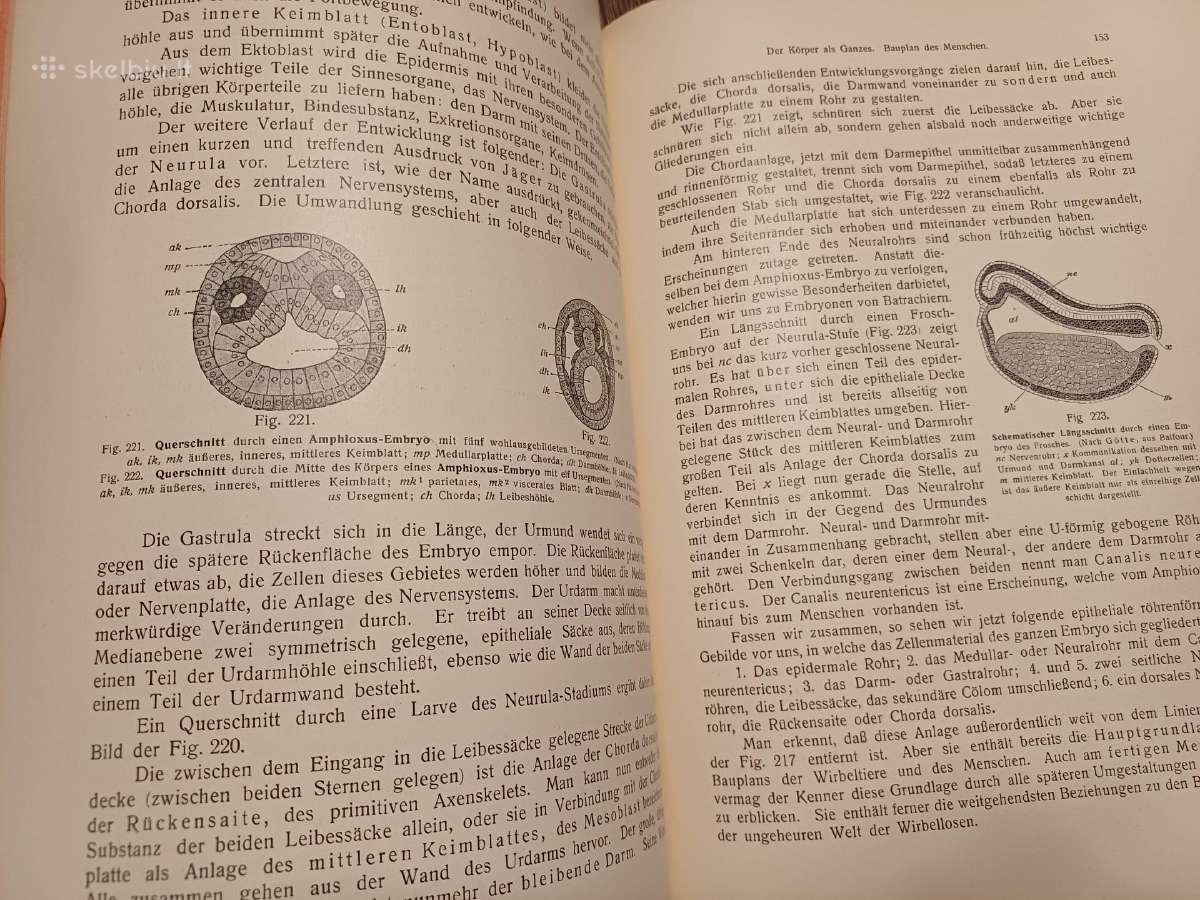 Parduodu knyga,žmogaus anatomijos vadovėlis,1911 - nuotraukos Nr. 21