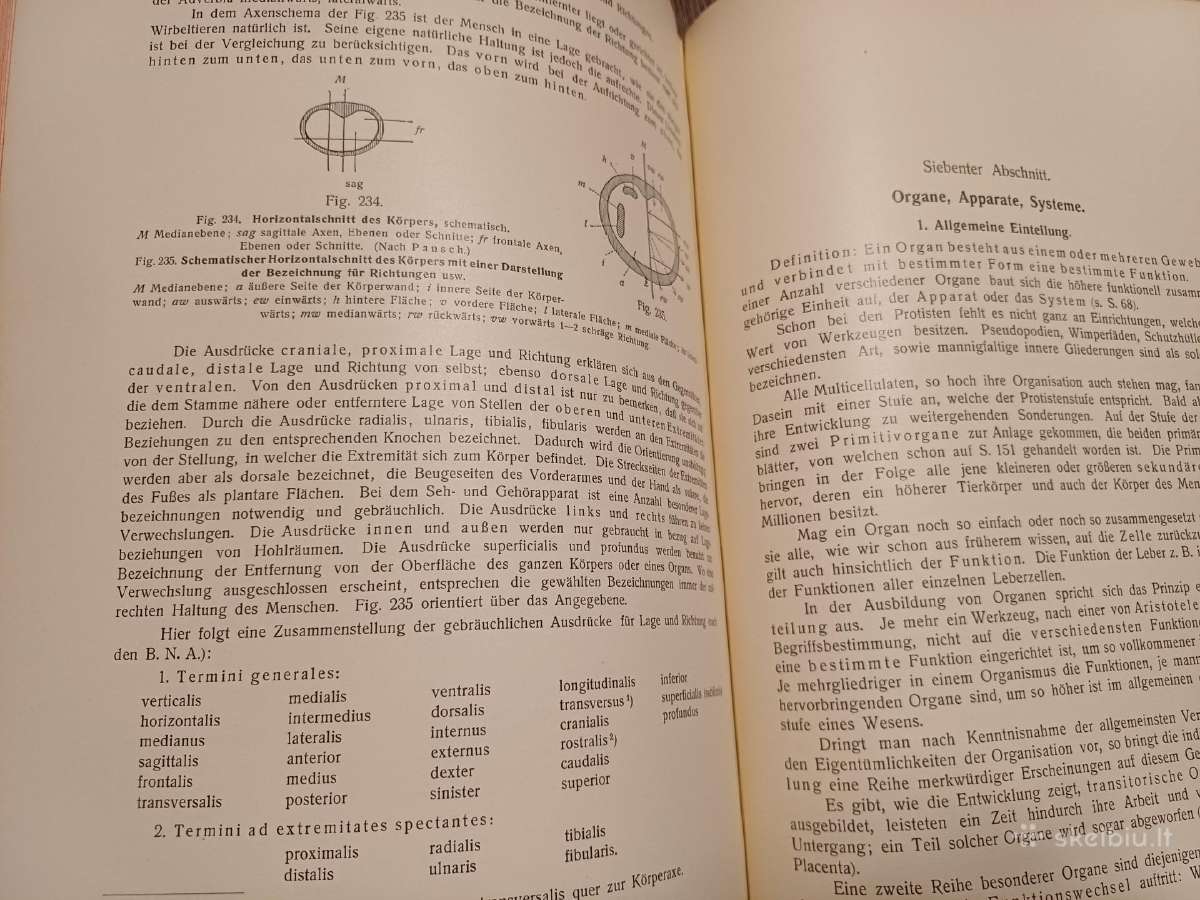 Parduodu knyga,žmogaus anatomijos vadovėlis,1911 - nuotraukos Nr. 25