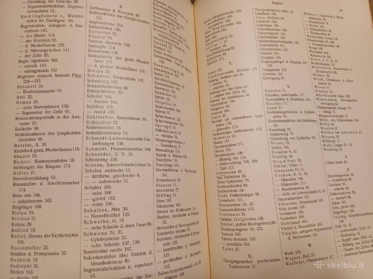 Parduodu knyga,žmogaus anatomijos vadovėlis,1911 - nuotraukos Nr. 27