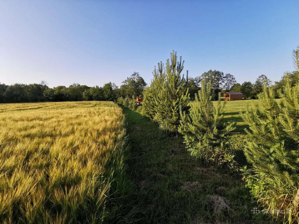 Baidarių ir stovyklavietės nuoma prie Verknės upės - nuotraukos Nr. 24