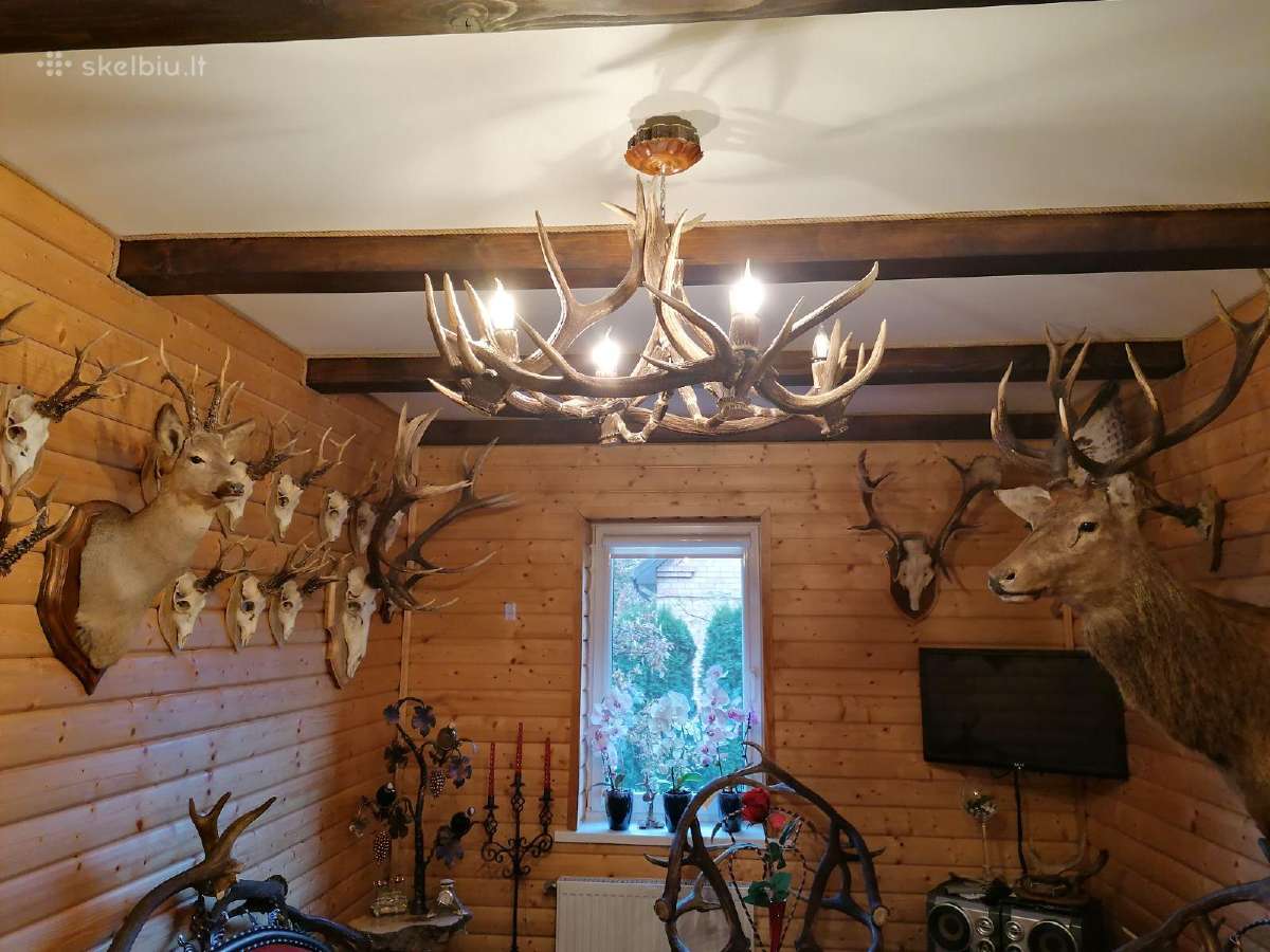 Baldai iš ragų ir metalo - nuotraukos Nr. 7