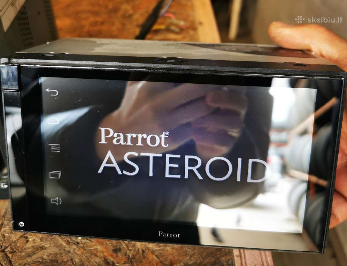 Parrot Asteroid