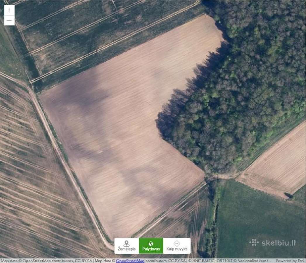 Parduodamas žemės sklypas su miško dalimi - nuotraukos Nr. 2