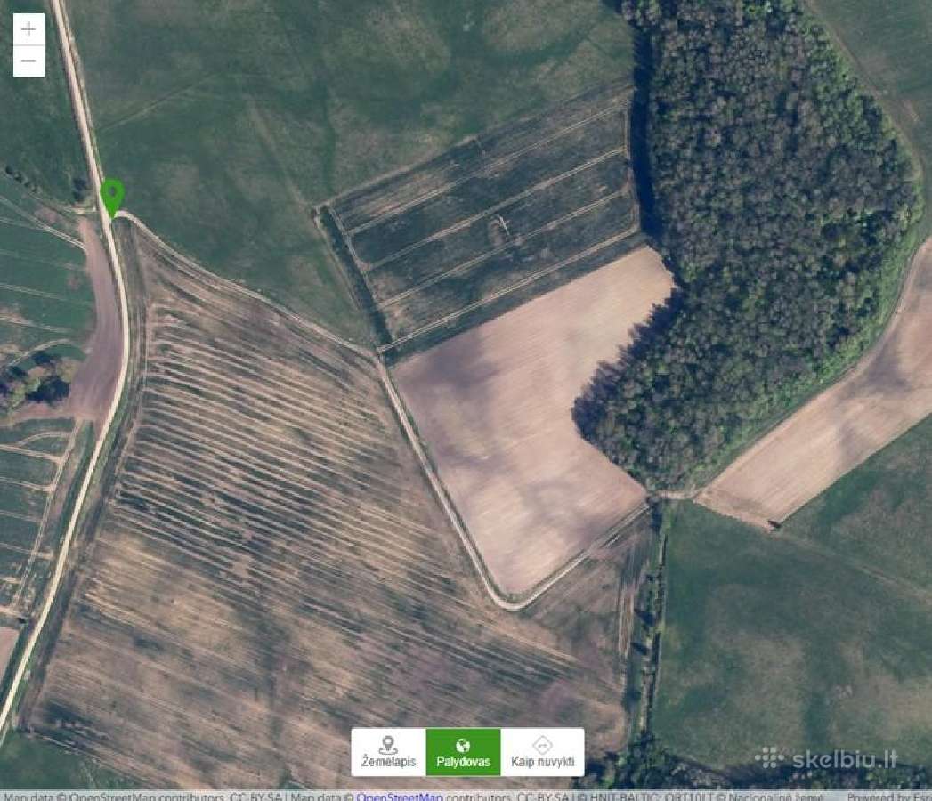 Parduodamas žemės sklypas su miško dalimi - nuotraukos Nr. 3