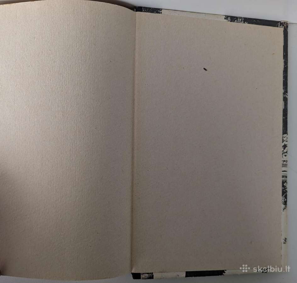 Balzakas. Trisdešimties metų moteris - nuotraukos Nr. 8