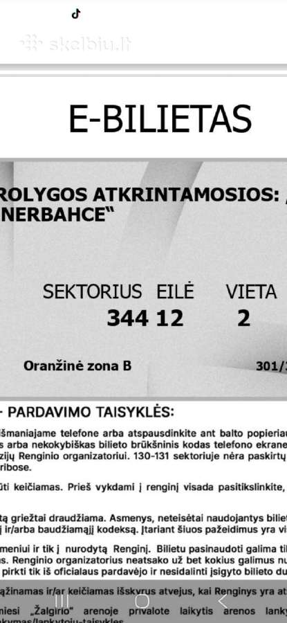 Žalgiris - Fenerbache ,