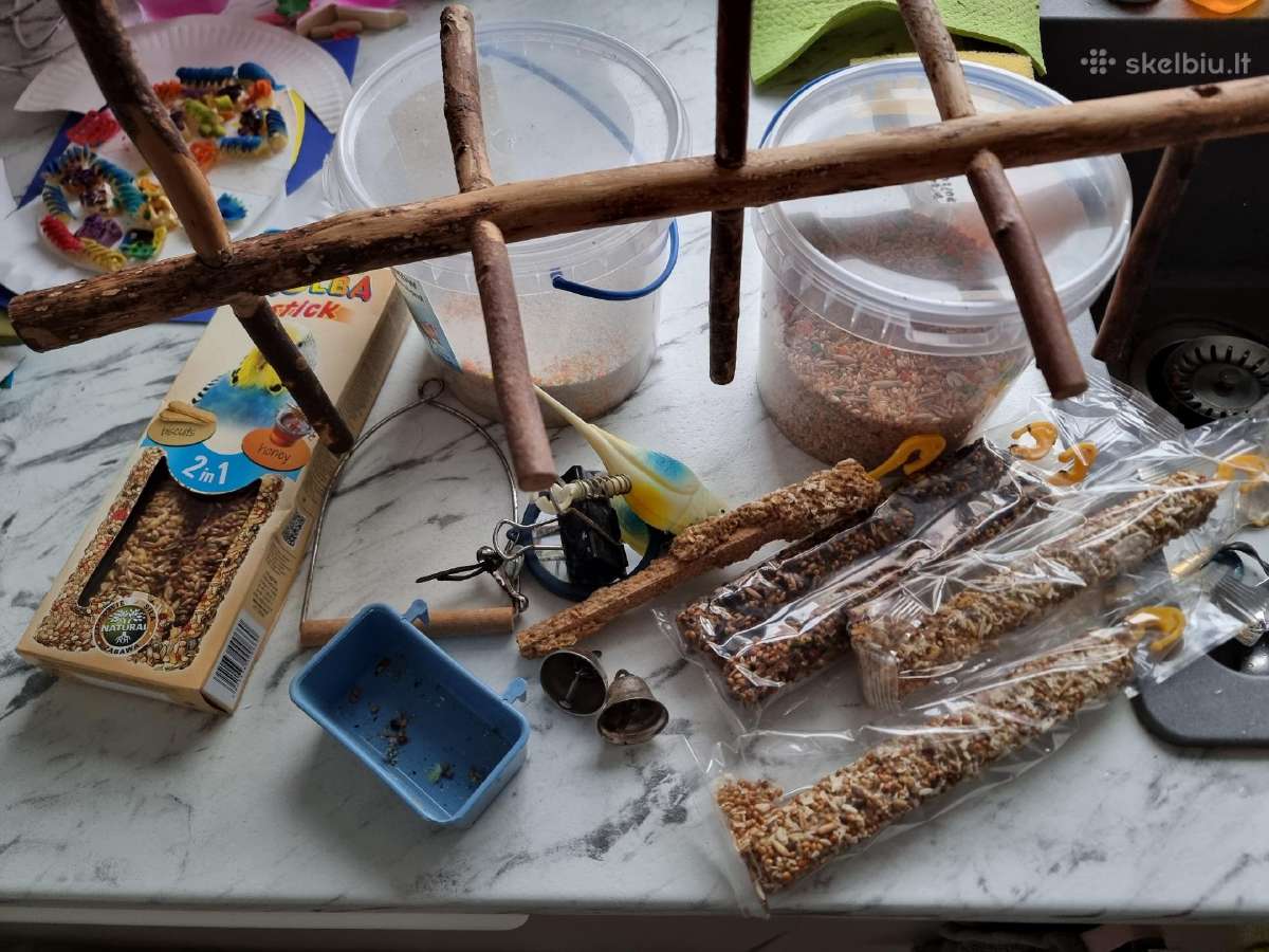 Maistas banguotosioms papūgėlės