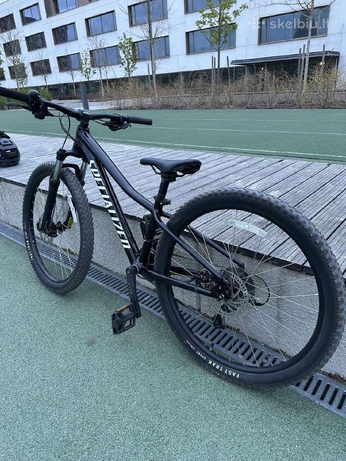 Specialized dviratis - nuotraukos Nr. 2
