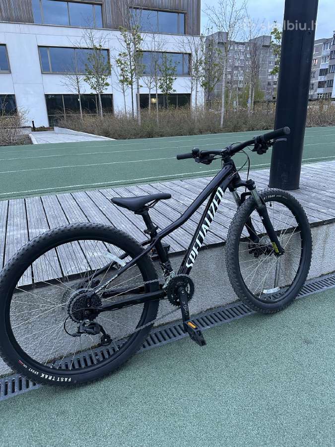 Specialized dviratis - nuotraukos Nr. 3