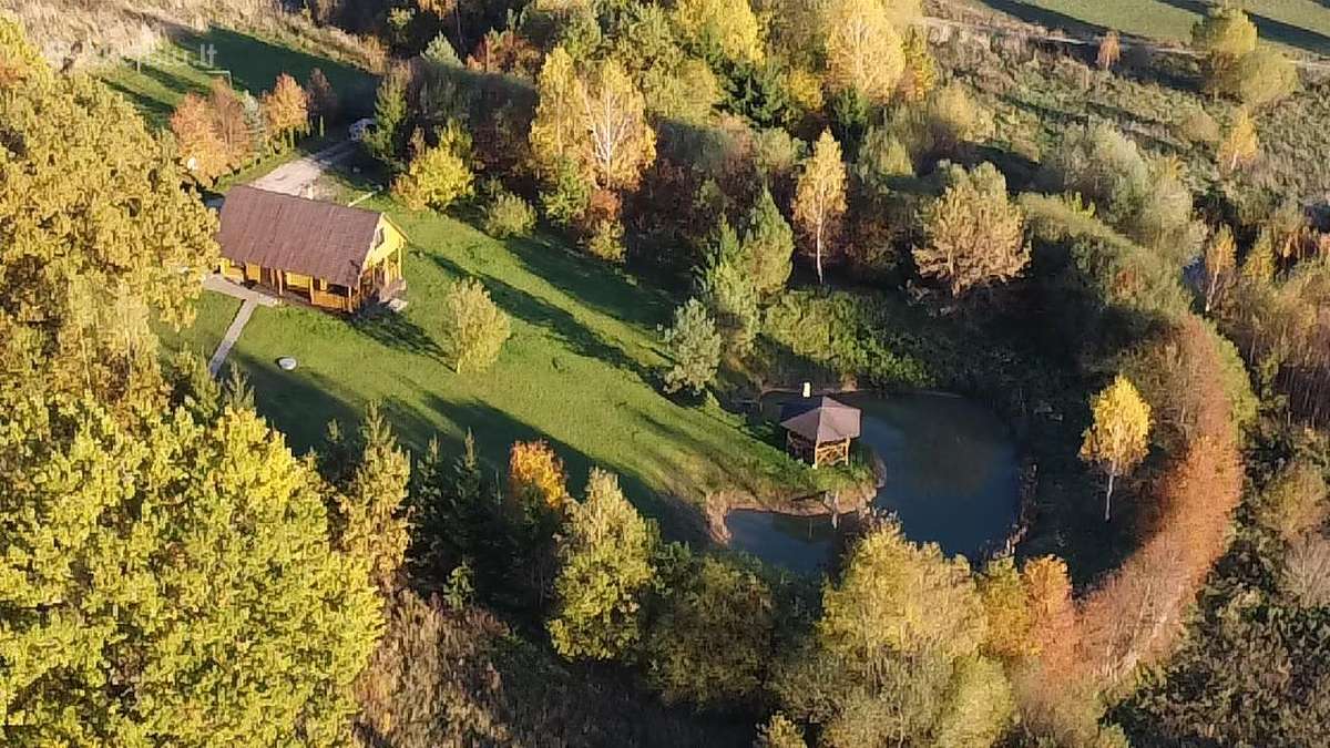 Yra laisvų vasaros penktadienių ir d.d. - nuotraukos Nr. 5