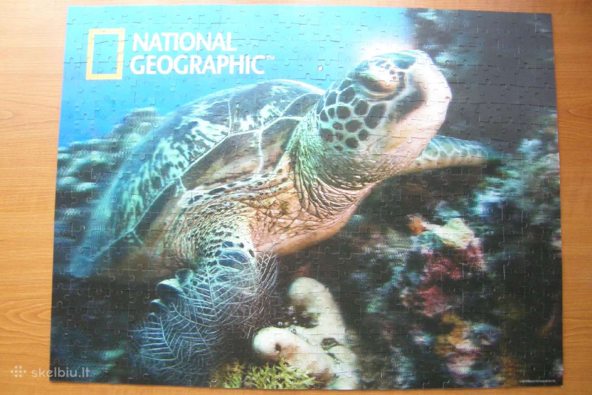 Dėlionė National Geographic ,Sea Turtle" 500