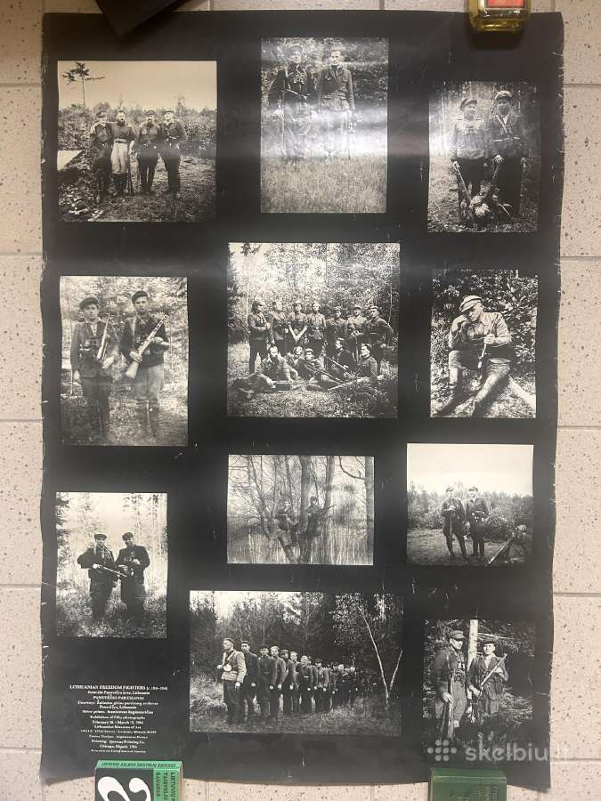 Plakatas. Panevėžio partizanai
