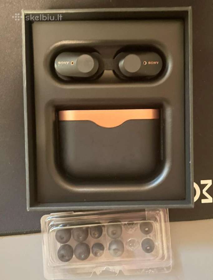 Sony ausinukai