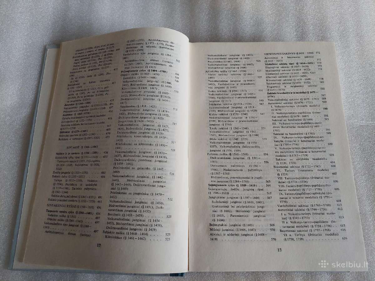 Dabartinės lietuvių kalbos gramatika - nuotraukos Nr. 5