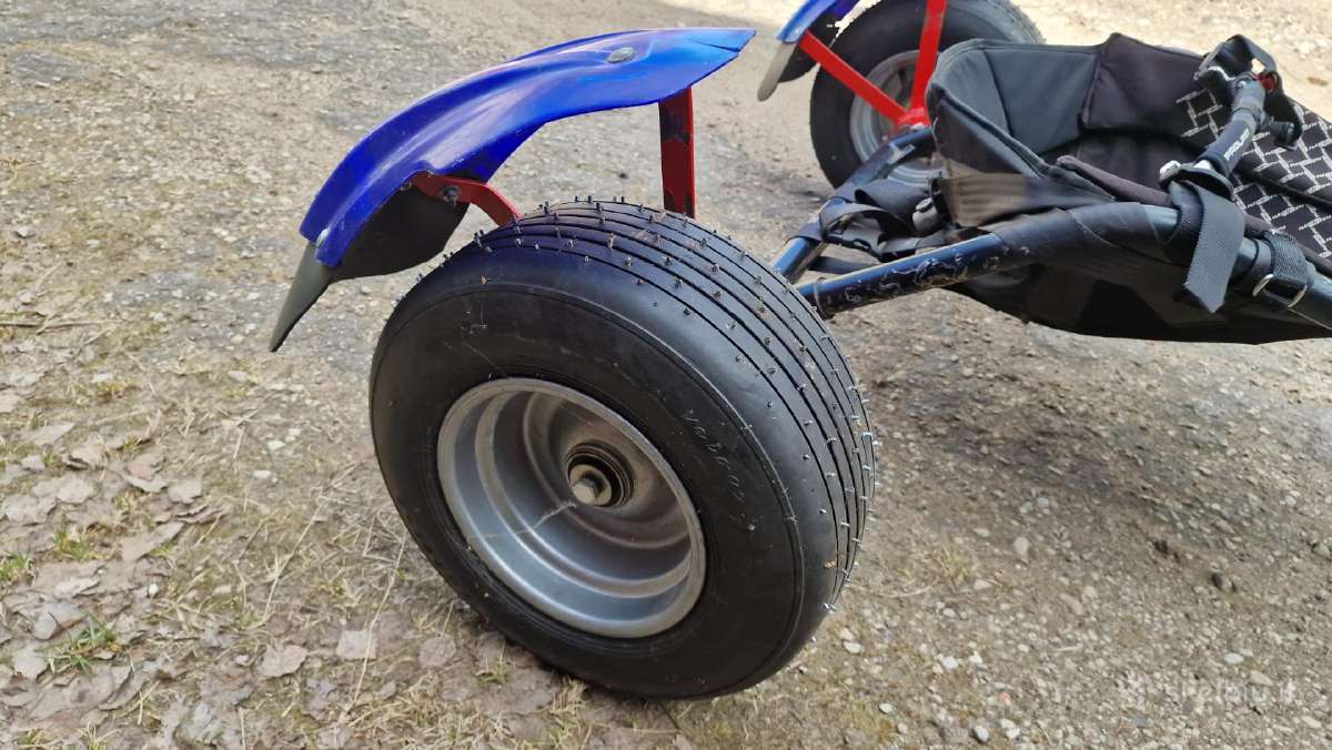 Buggy ir vasarai ir žiemai - nuotraukos Nr. 6