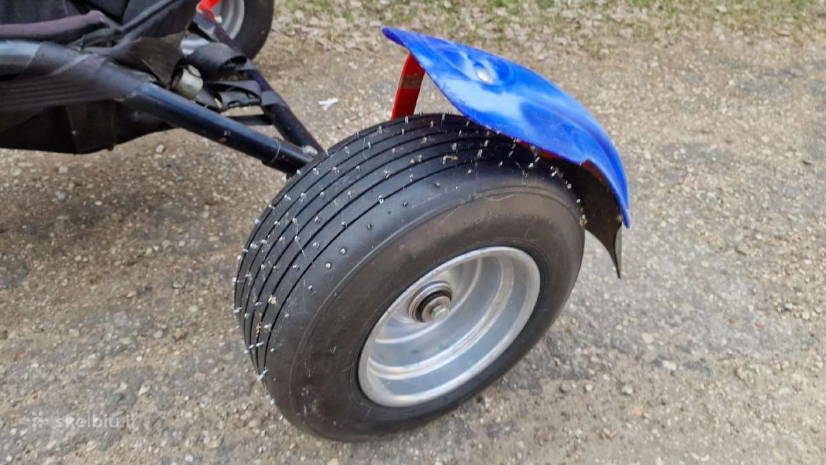 Buggy ir vasarai ir žiemai - nuotraukos Nr. 7
