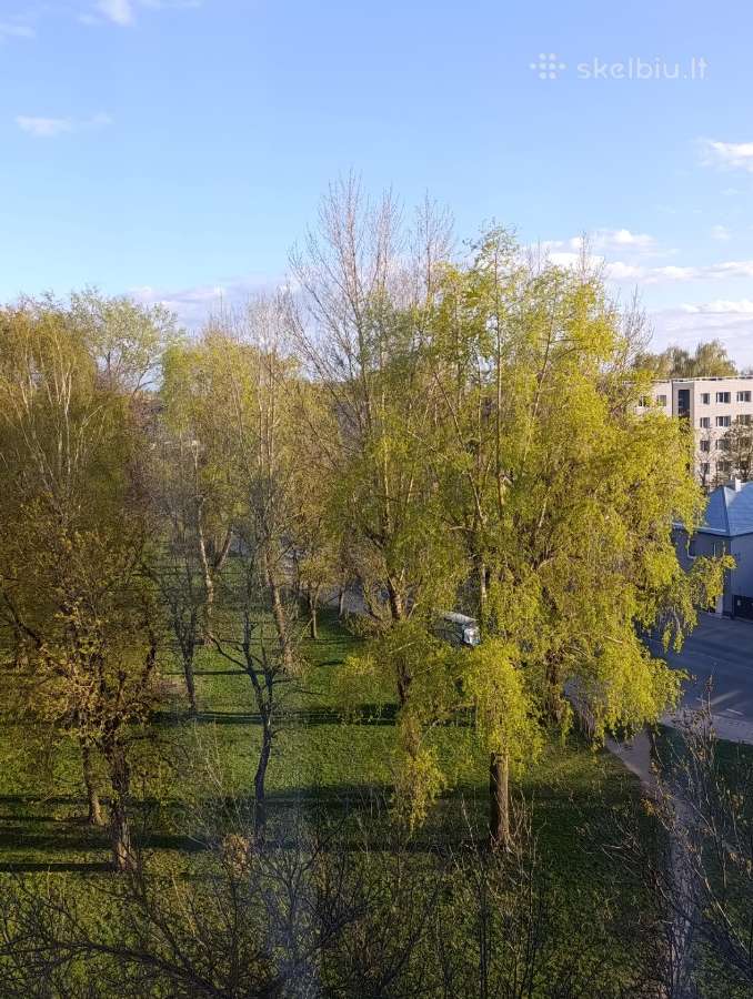 Trumpalaikė buto nuomą šalia cento.laisvas - nuotraukos Nr. 19