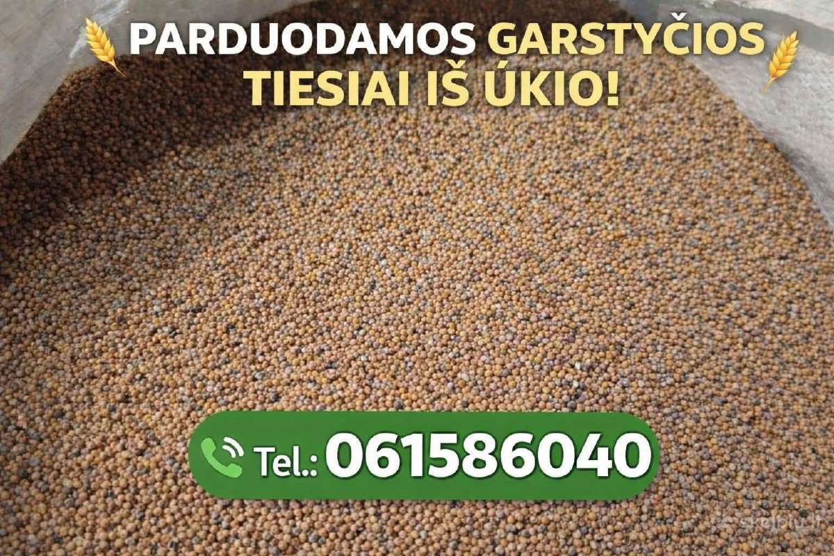 Parduodu garstyčias