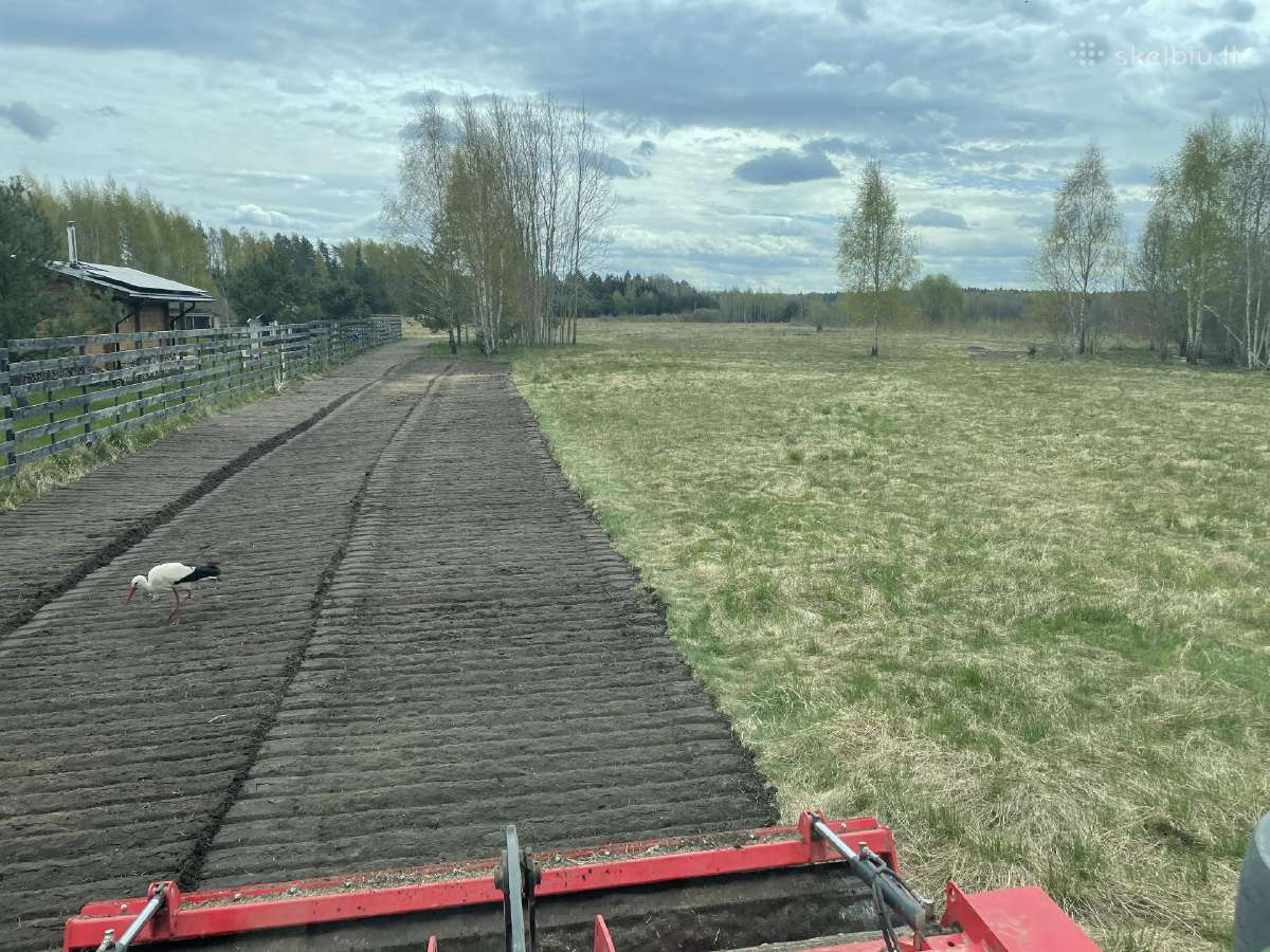 Vejos atnaujinimas įrengimas žolės pjovimas - nuotraukos Nr. 4