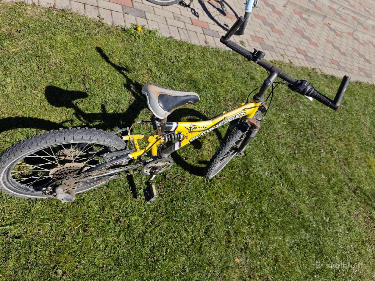 Dviračiai 1 Panter + 1 Stinger - nuotraukos Nr. 8