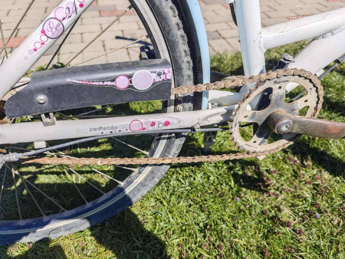 Dviračiai 1 Panter + 1 Stinger - nuotraukos Nr. 2