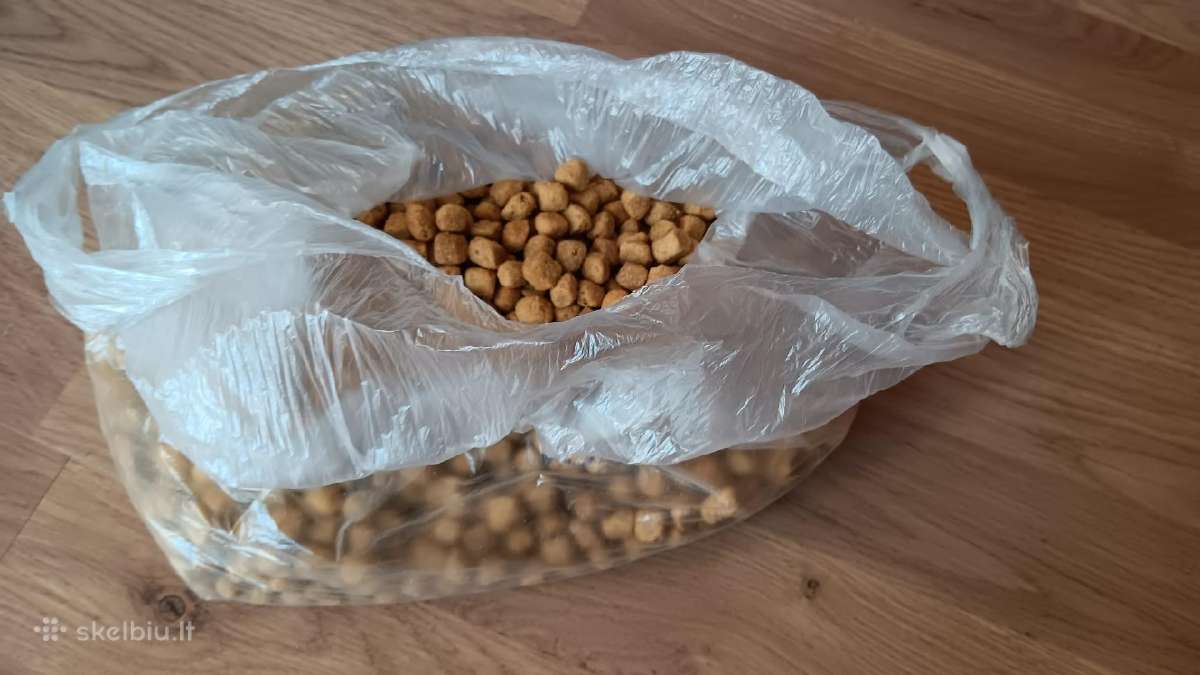Sausas šunų ėdalas