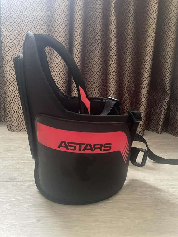 Kartinginė šonkaulių apsauga Alpinestars - nuotraukos Nr. 3